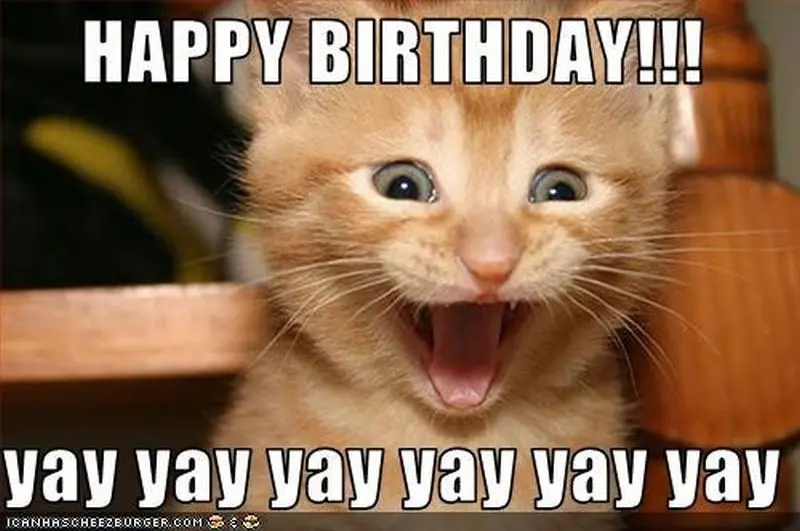 Funny Cat Happy Birthday Cat Meme