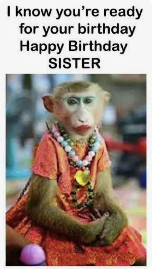 Happy Birthday Sister Funny Meme