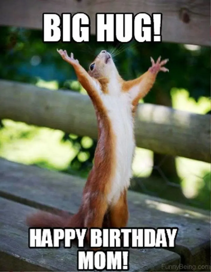 funny happy birthday meme for mom